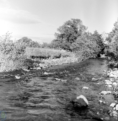 River Cover near Coverham Abbey
